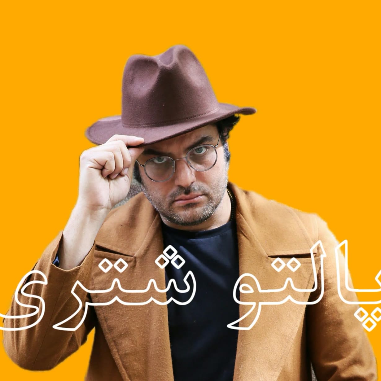 پالتو شتری