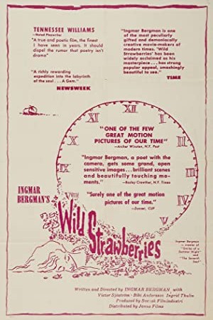 Wild Strawberries