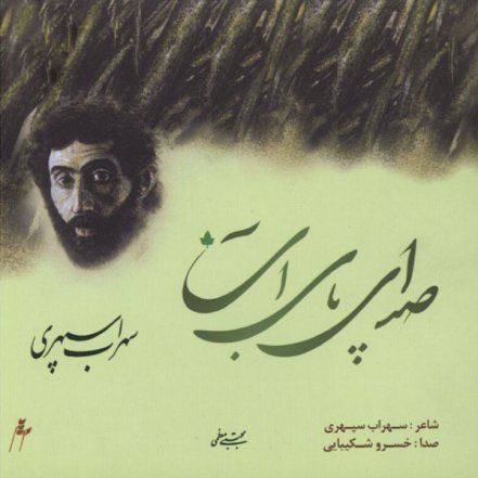 صدای پای آب