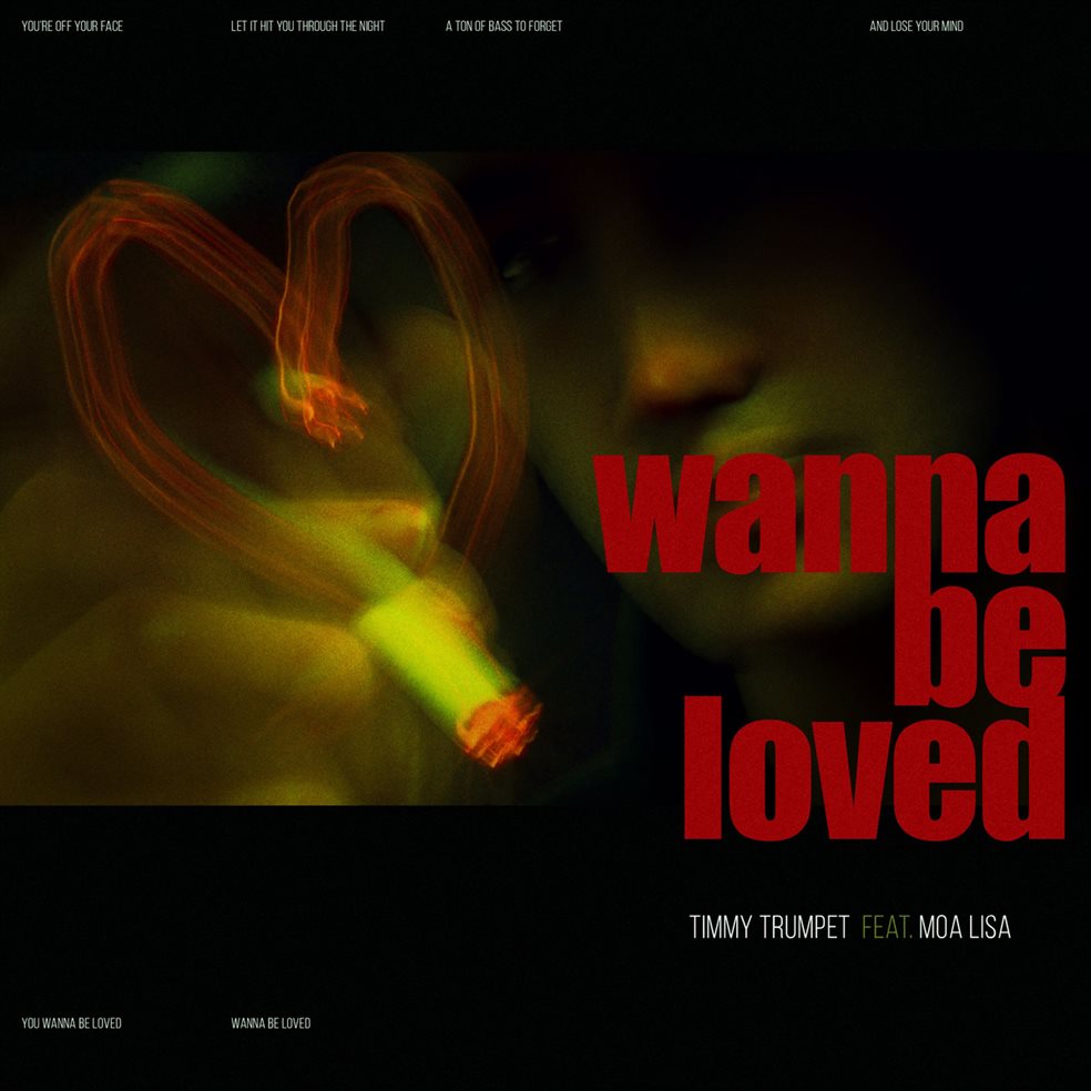Wanna Be Loved (Feat. Moa Lisa)