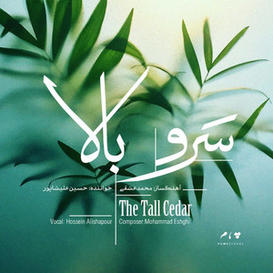 حسین علیشاپور